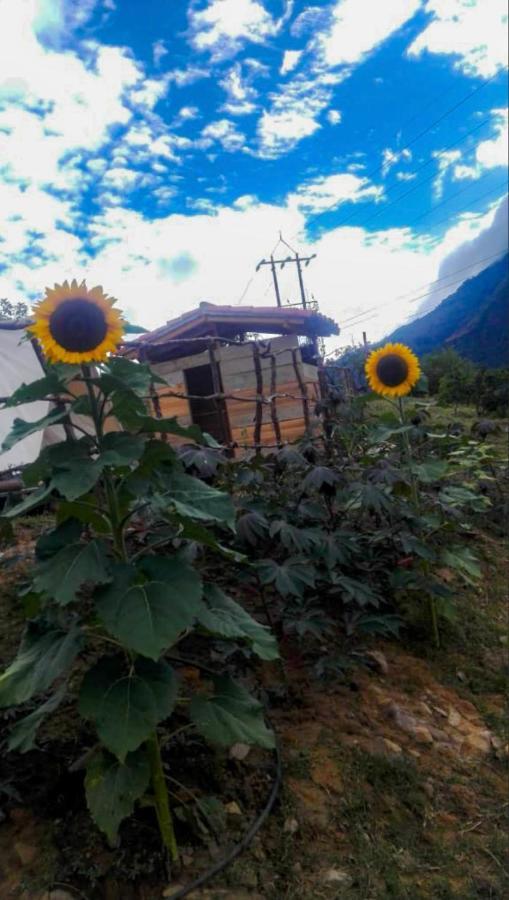 Hostal Las Valkirias Matanza Екстериор снимка